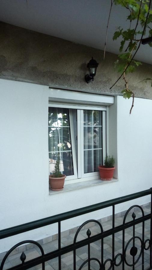 Big apartment near Olympus mountain Litochoro Exterior foto